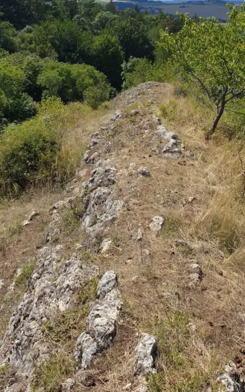 Ein Bergrücken mit sichtbaren Steinen und seitlich gibt es Vegetation abwärts